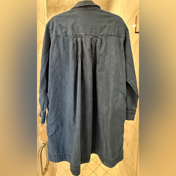 Loft Chambray Mini Dress - Picture 3 of 5